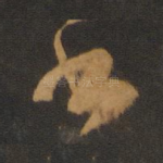 书