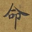 命