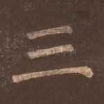 三
