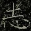 志
