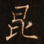 昆