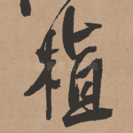 植