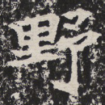 野