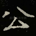 公