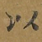 以