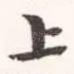 上