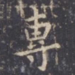 专