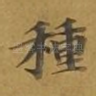 种