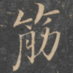 筋