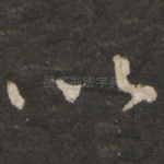 以