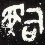 司