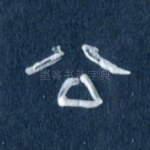 公