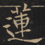 莲