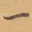 一