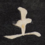 土
