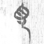 見