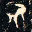 氏