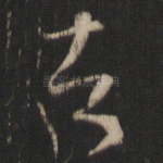 诸