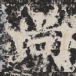 尚