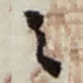 之
