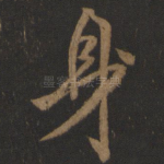 身
