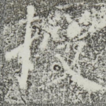 授