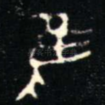 隹