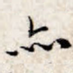 亦