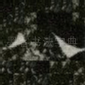 八