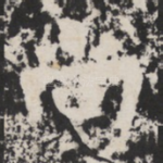 尚