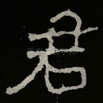 君