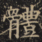 体