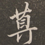尊