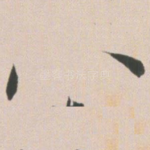 八