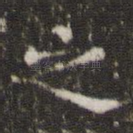 之