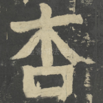 杏
