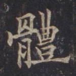 体