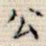 公