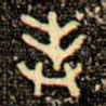 奉
