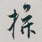 操