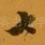 七