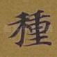 种