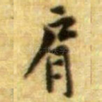 肩