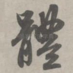 体