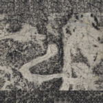 公