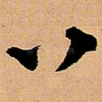 八