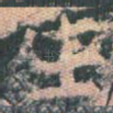 生