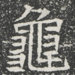 龜