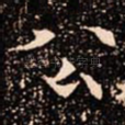 公