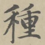 种